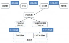 上市药企发力美白新原料，或改变市场格局